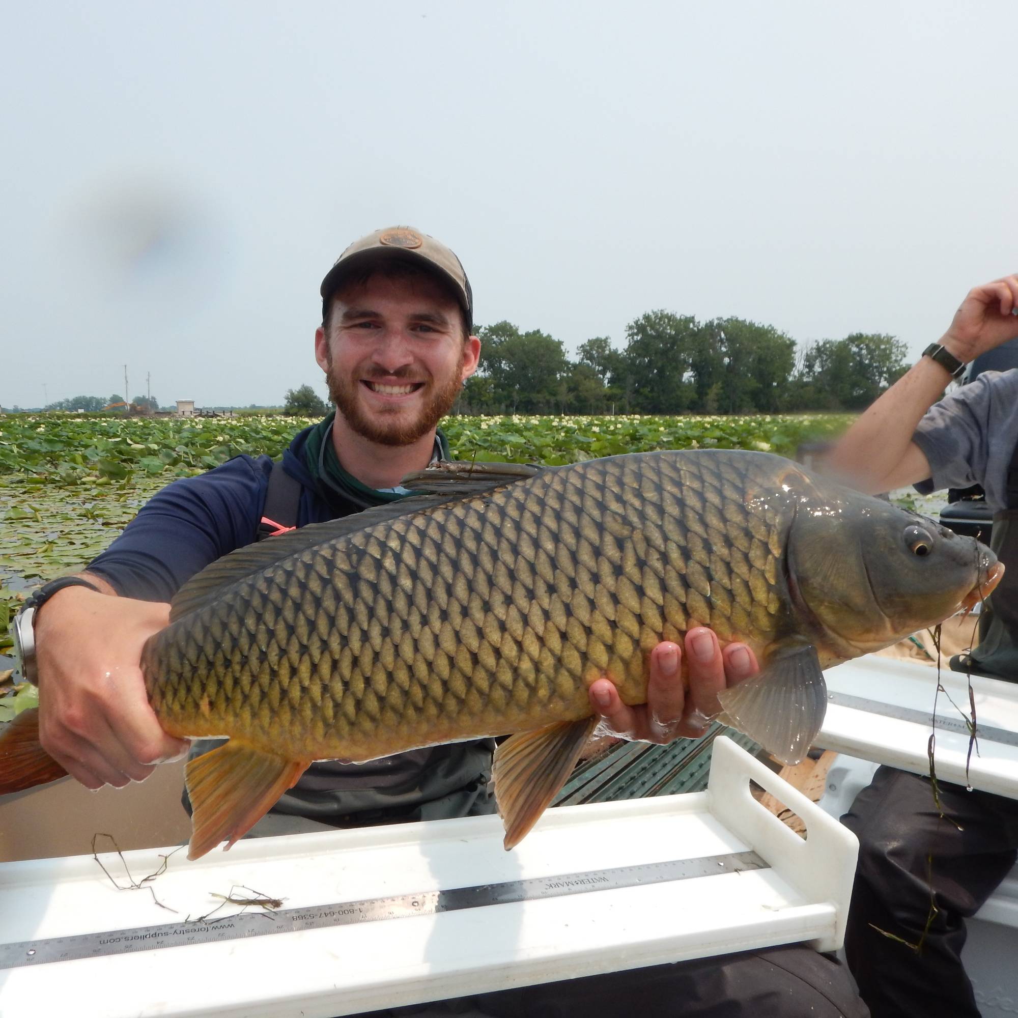 a student holds a common carp that was sampled from a coastal wetland